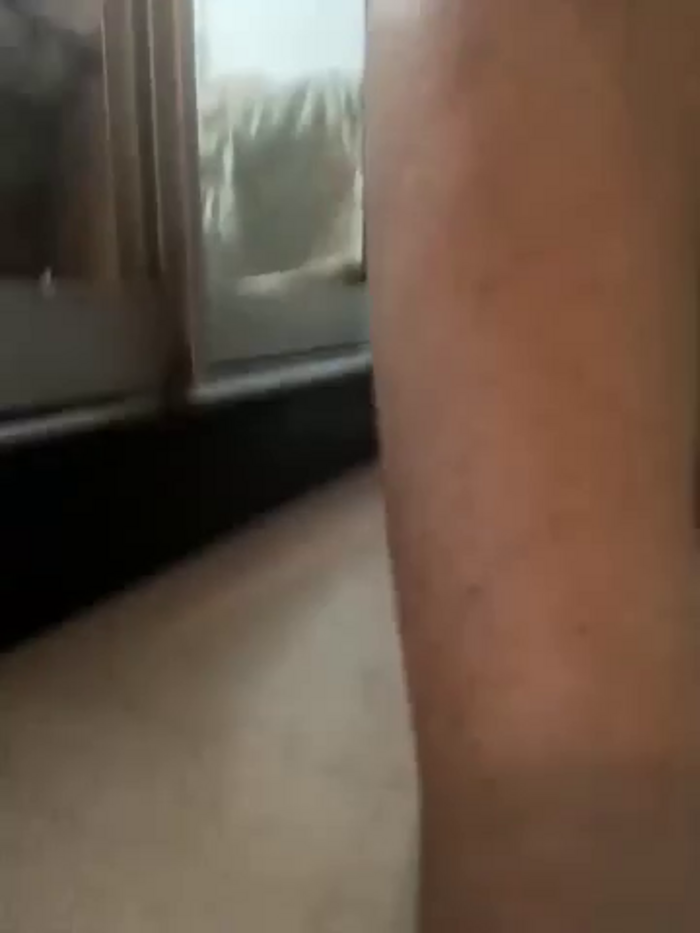 hugebobbs