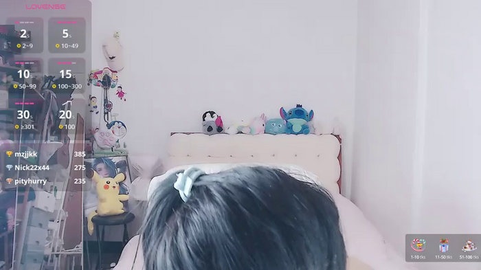 stupidcat5227