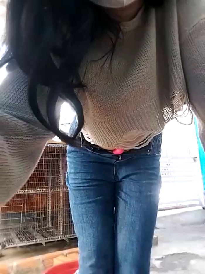 BigAssBee
