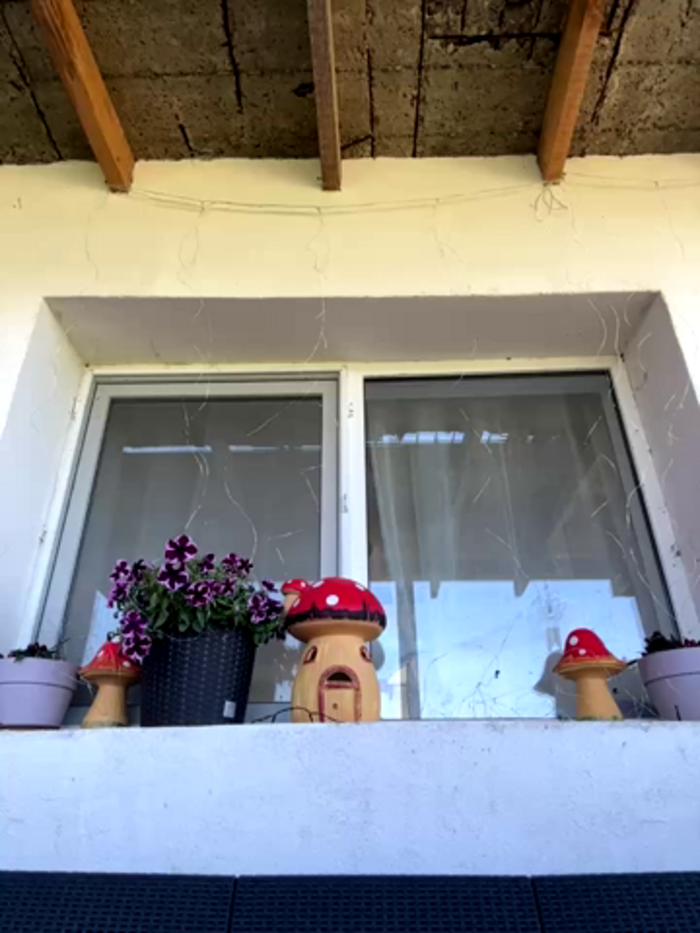 Alimela