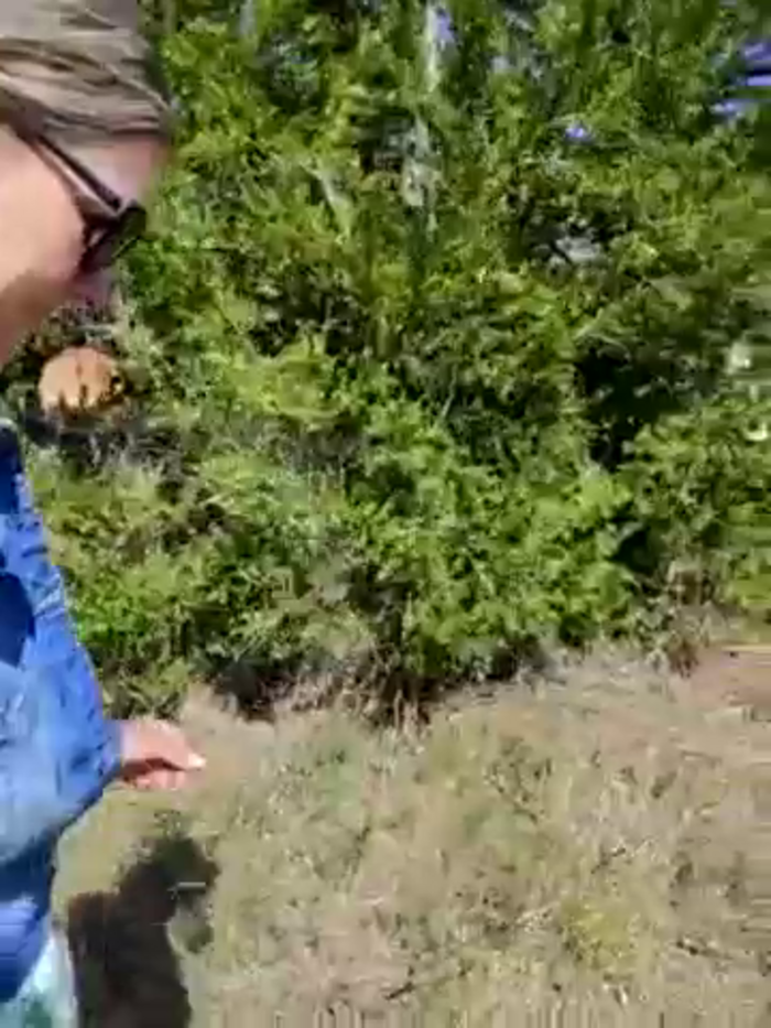 erotica_eva