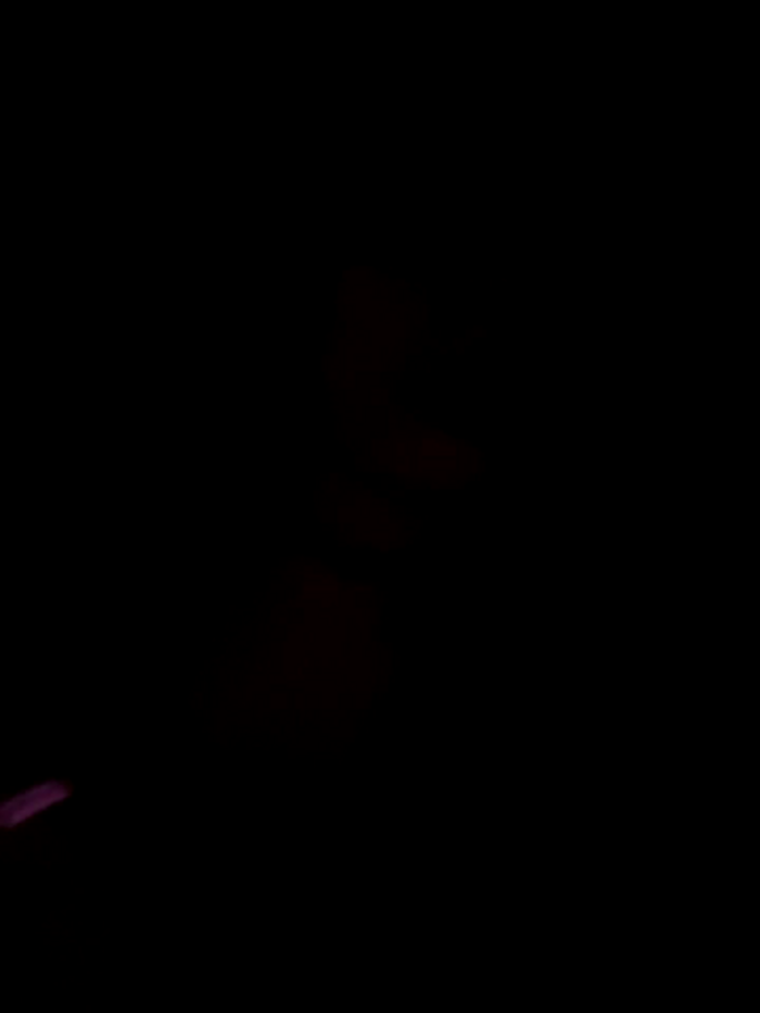 holyeroticss