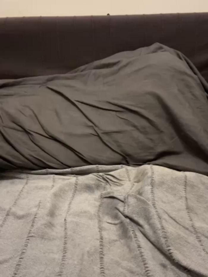 AniGi-