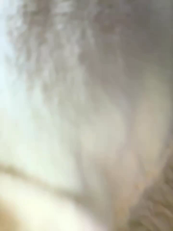 Katya_Katysha
