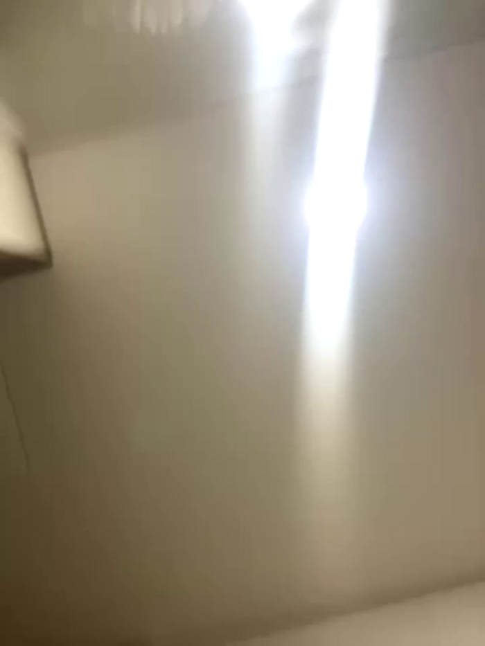 alissonfernandez_