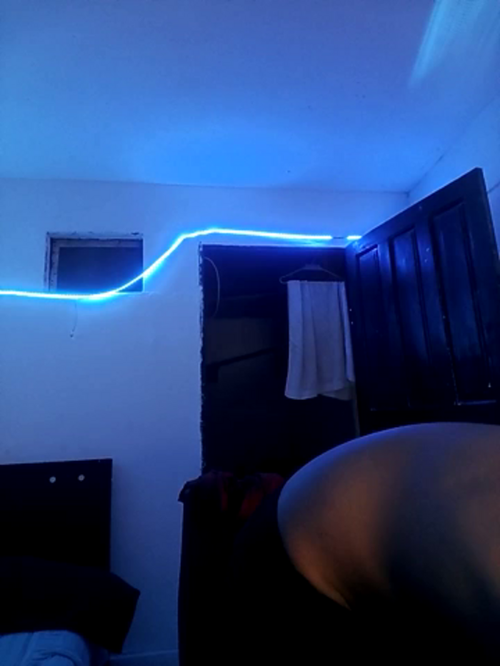 RoomExotic11