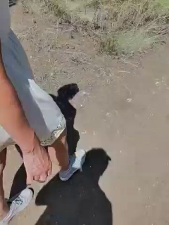 erotica_eva