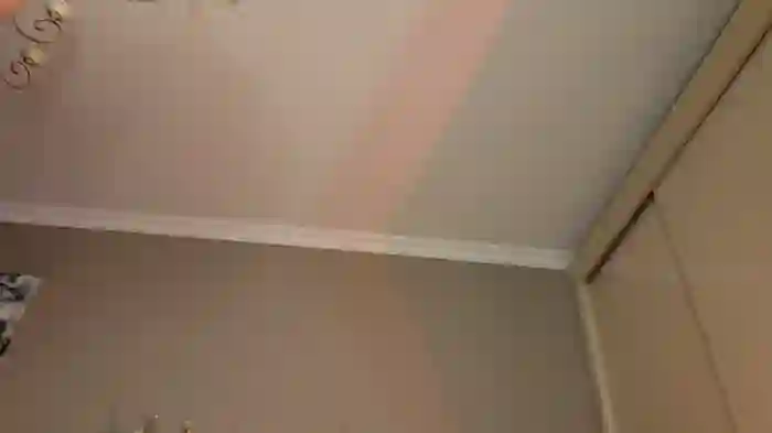 2025/07/31/stripchat-ex_lawyer-19-35-23
