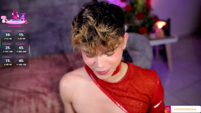 PRINCE_STEV