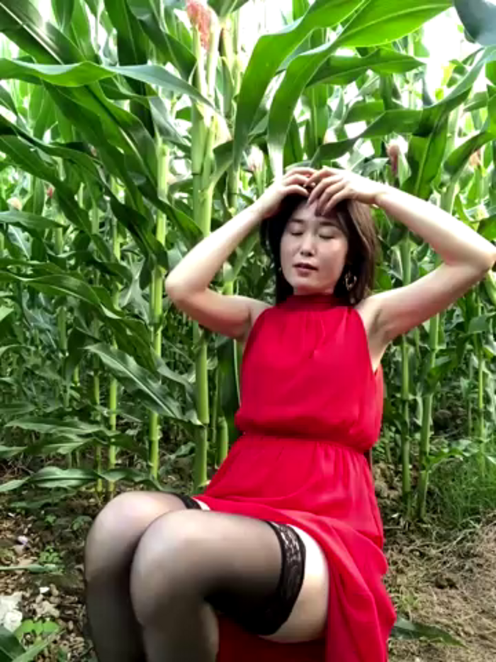 sunny-520