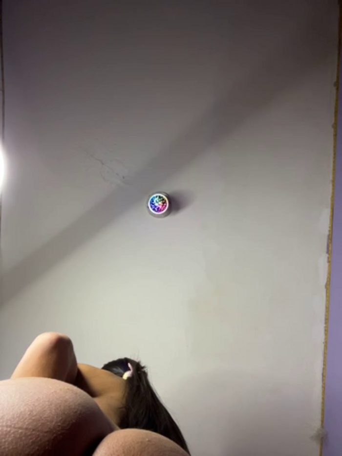 charlotte_stevenss_
