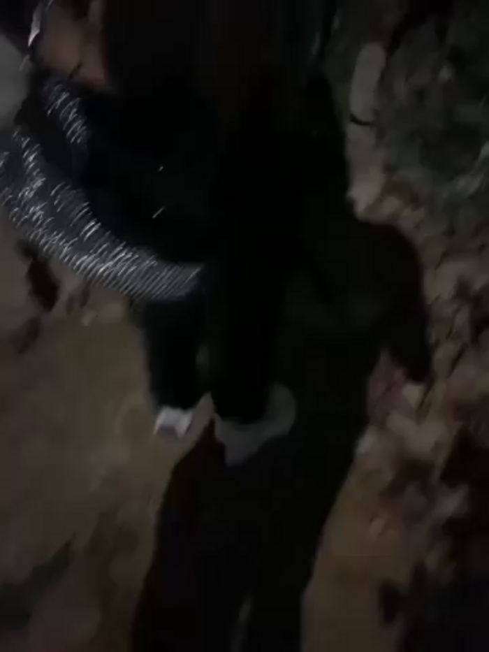 royalgirls_x