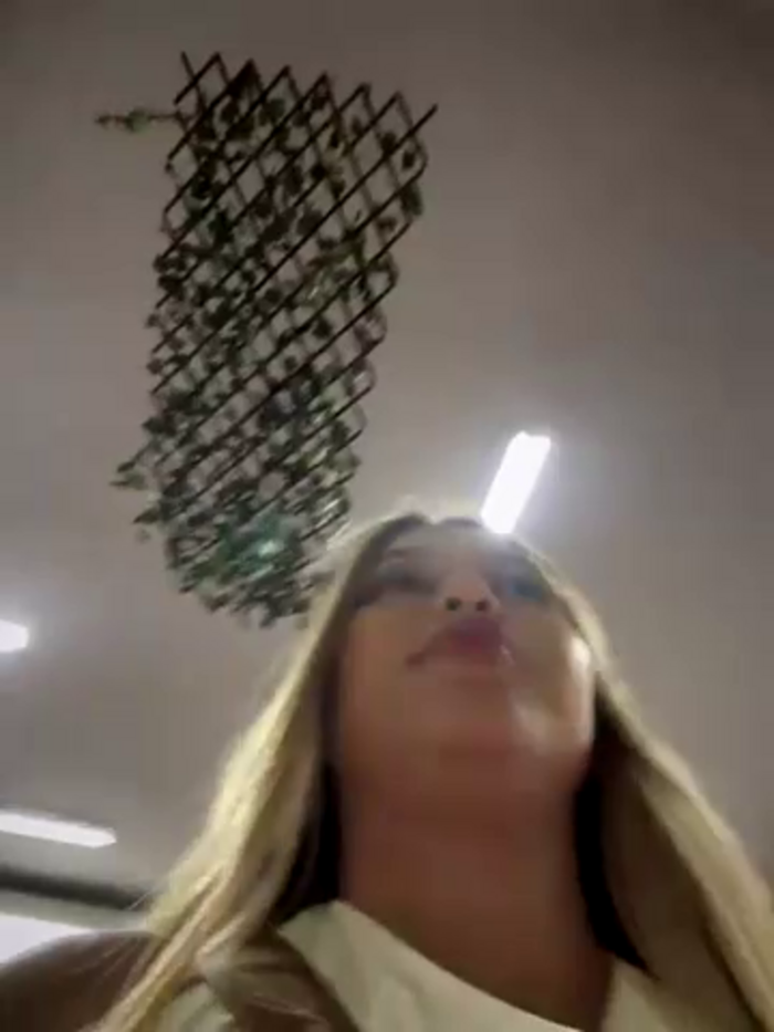 lunablossom_