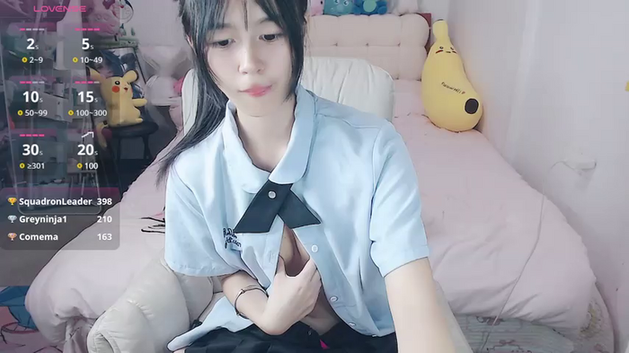 stupidcat5227