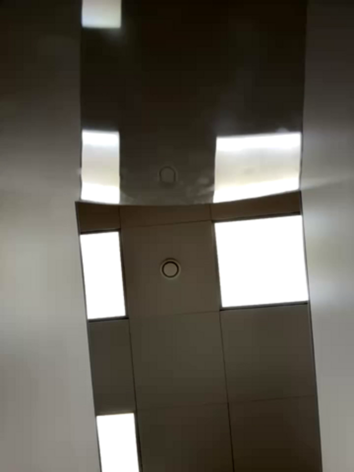 bambi_lu