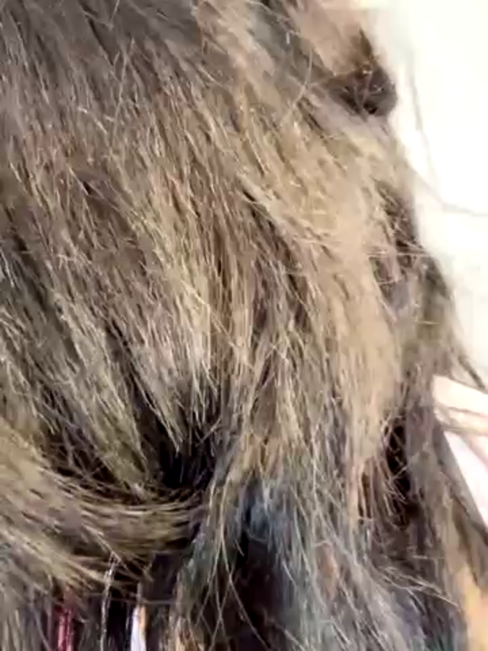 MartinaSooler
