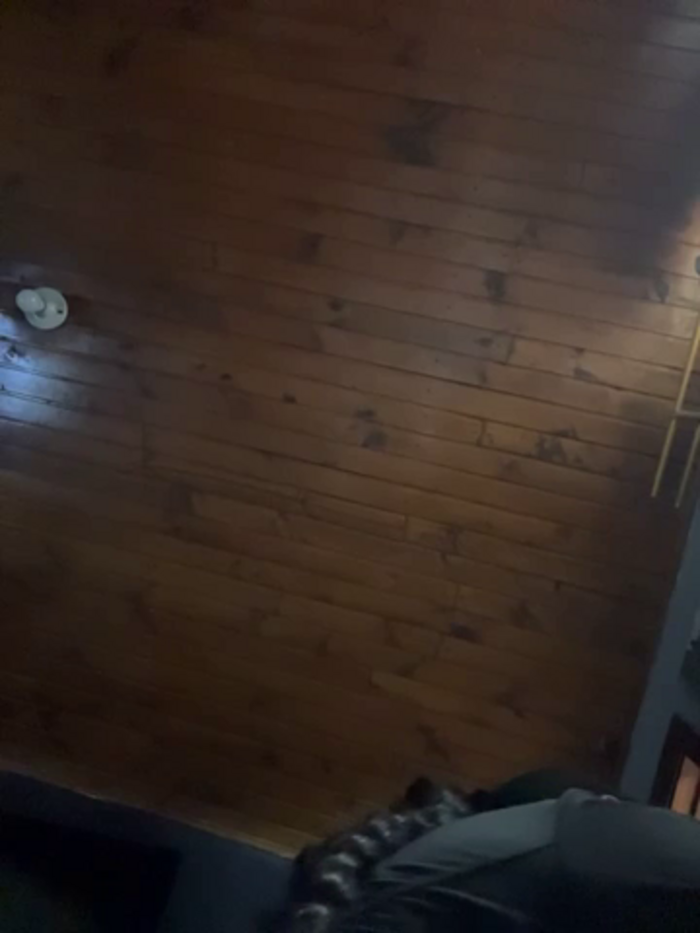 charlotte_stevenss_