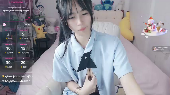 stupidcat5227