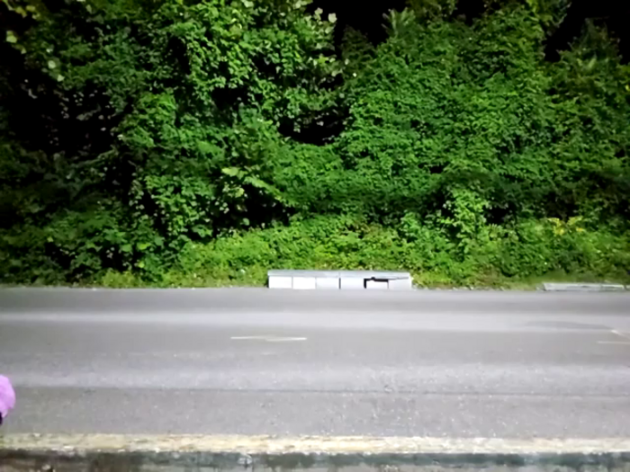 sloppytopkins