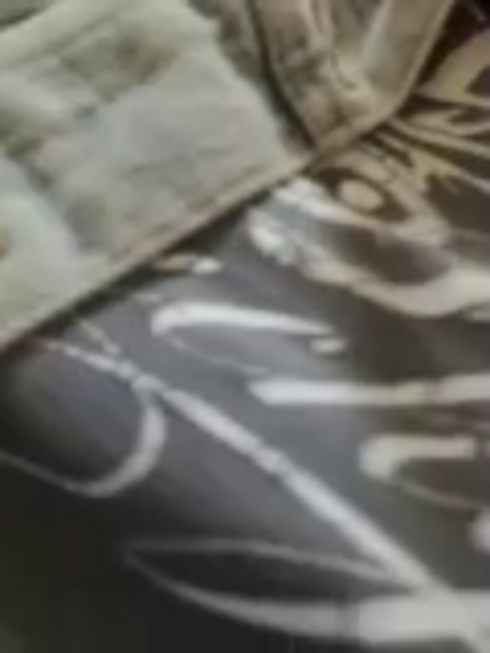 Bella_Gloria