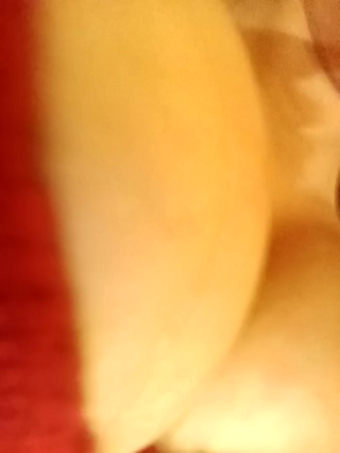 -Sahar