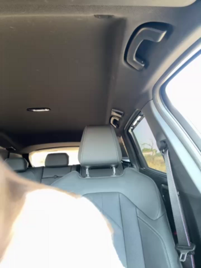 DoriDeluxe66