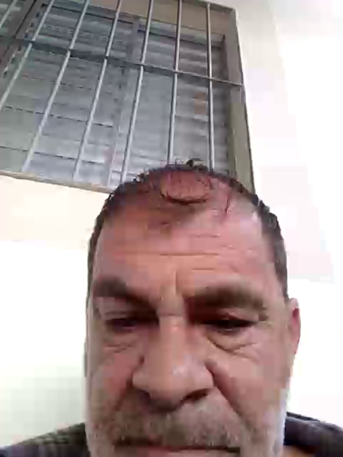 Peludo173317