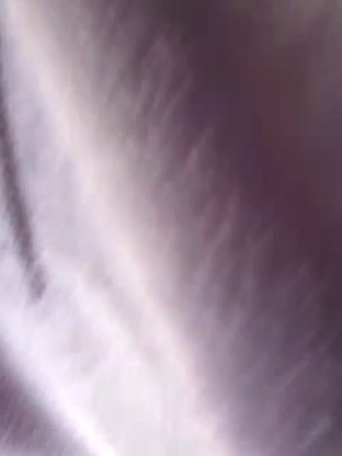 Jassy_Foxy