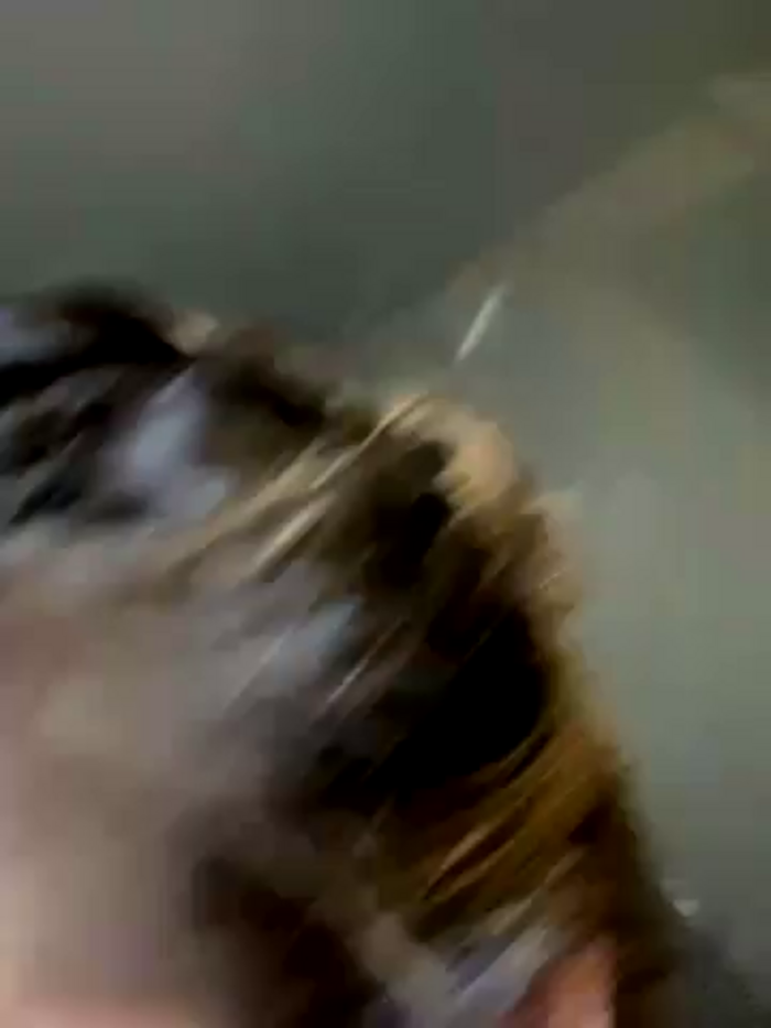 LeaGambit__