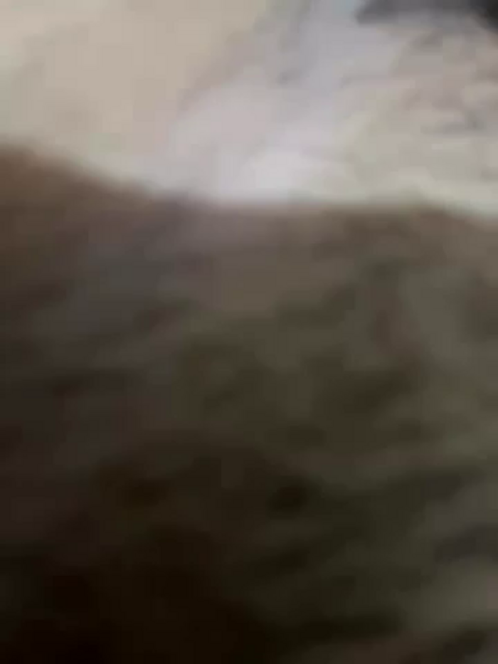 obiglifi