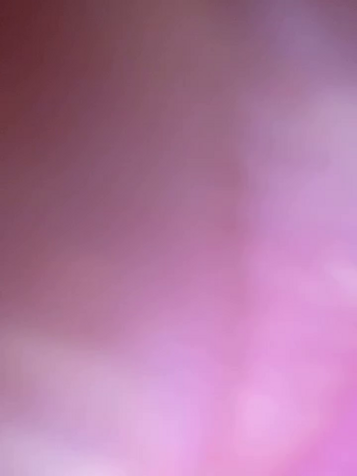 slapa_sssss