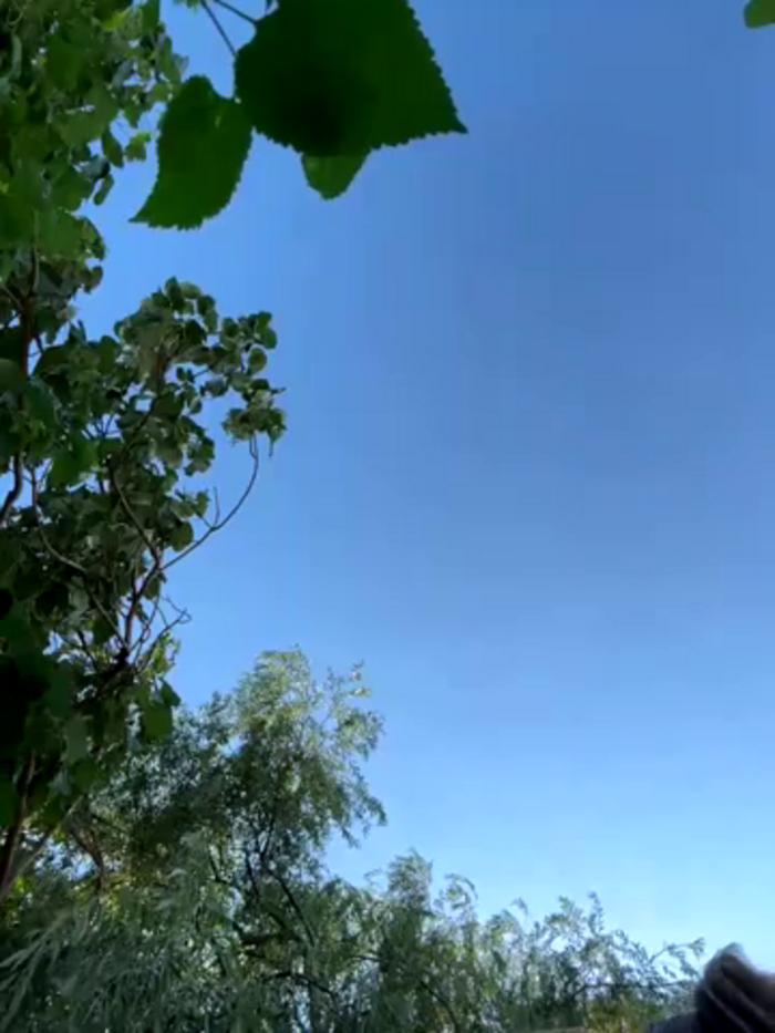 didihairypussy