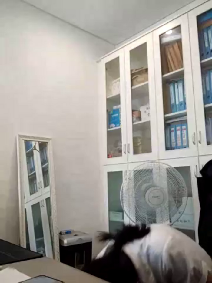 ialnuyoa_h