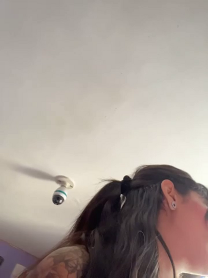 charlotte_stevenss_