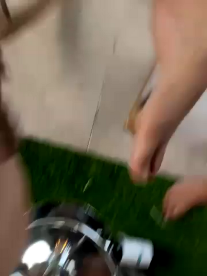 Alice_surprise