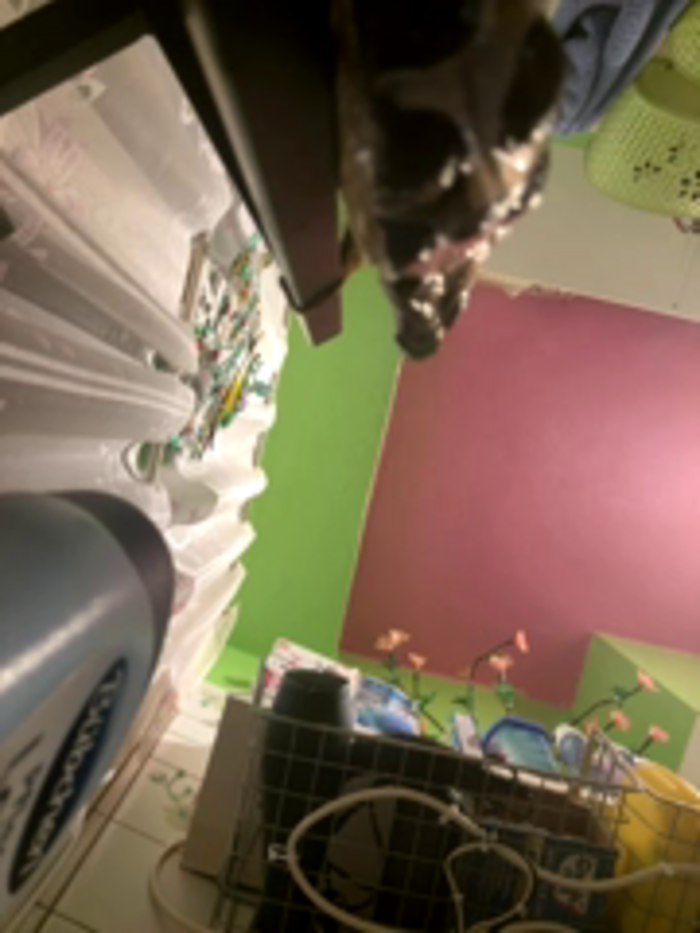 sexymelli18