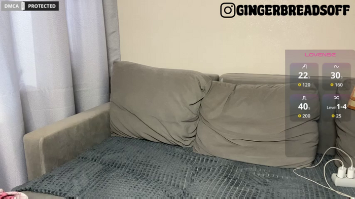 GINGER_BREADS