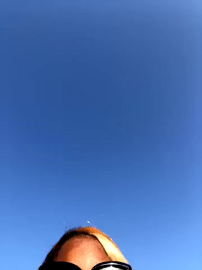 BigFineSelena