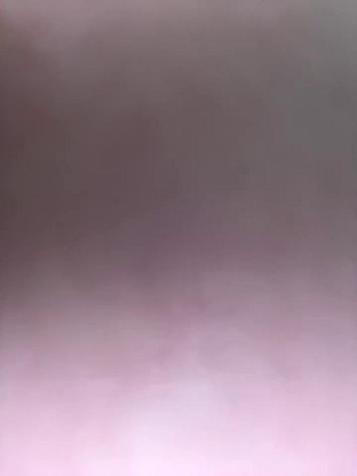 Bambi-Live