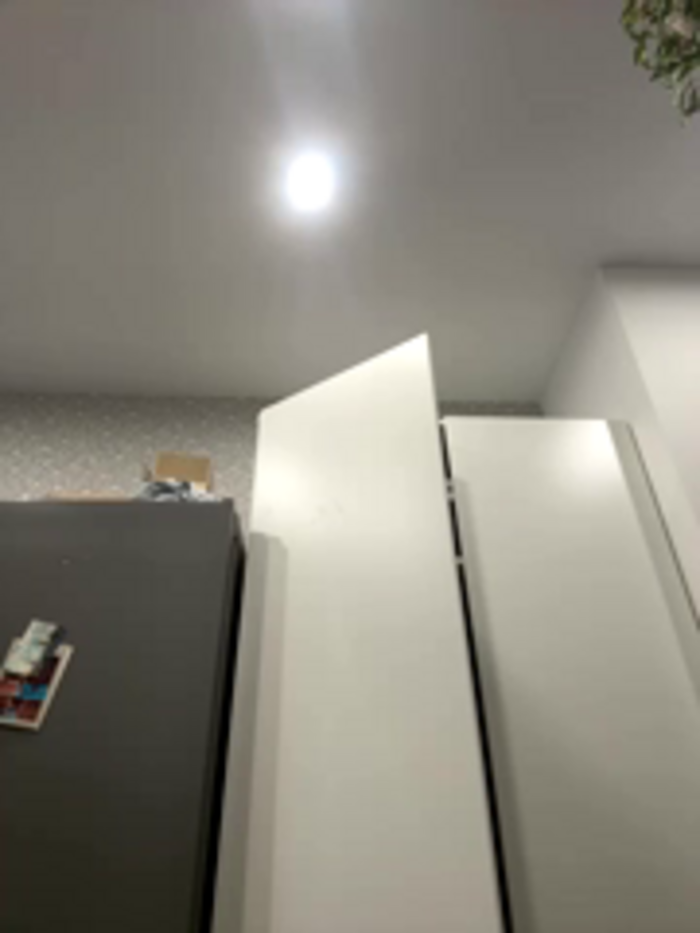 RinaCat