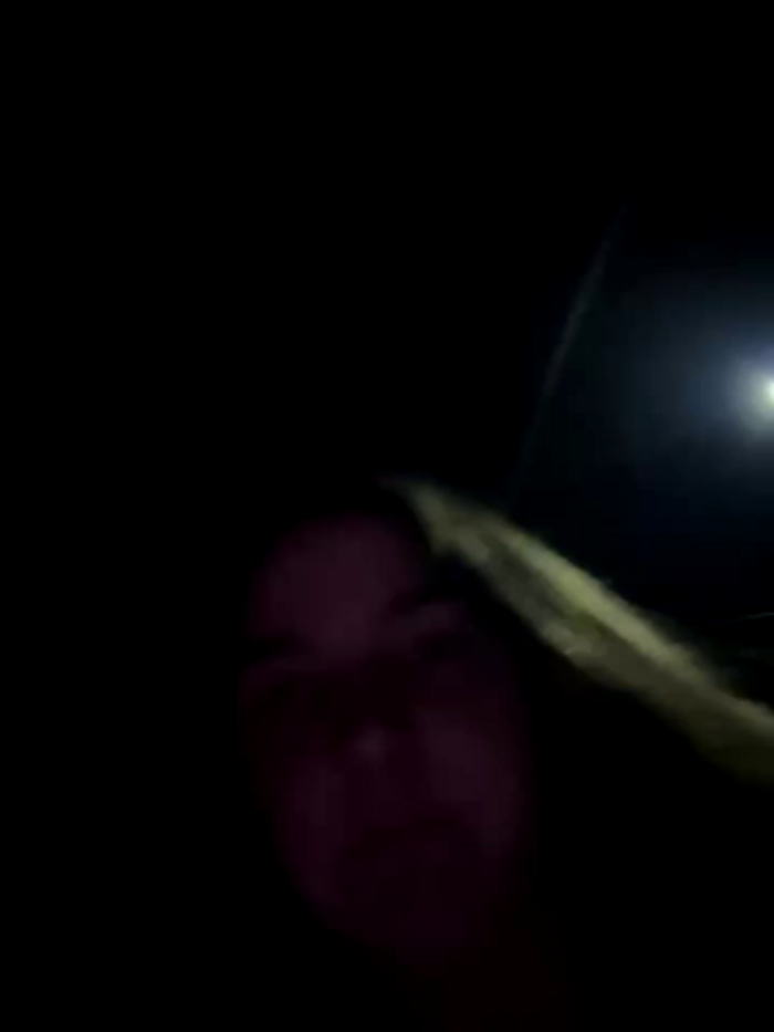 DoriDeluxe66