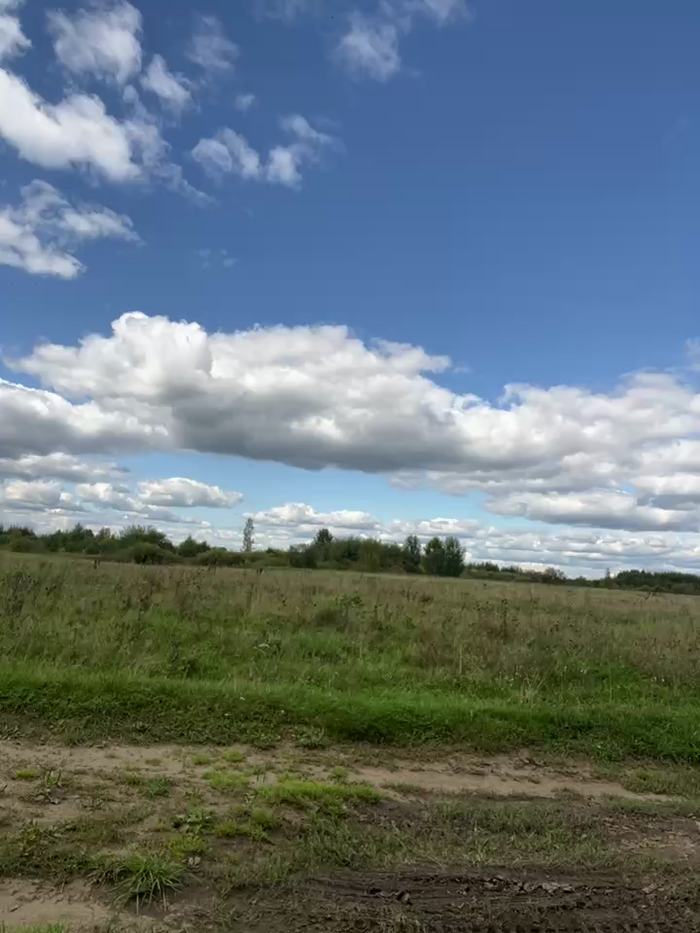 MiraReach