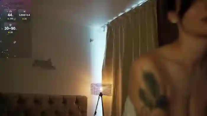 2025/08/27/stripchat-lindawarners-11-00-11