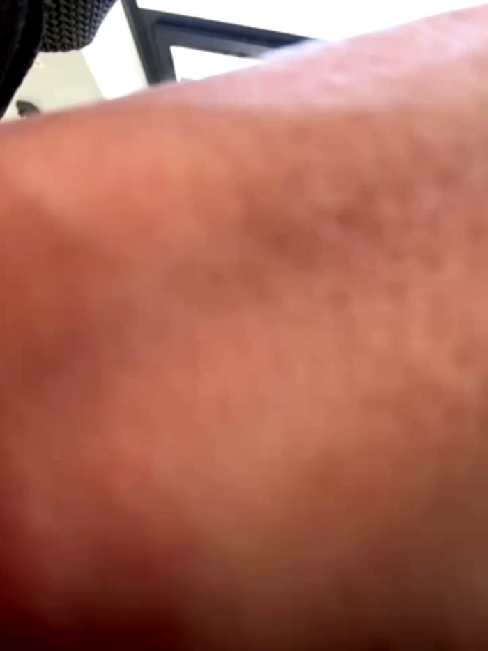 eveangelll