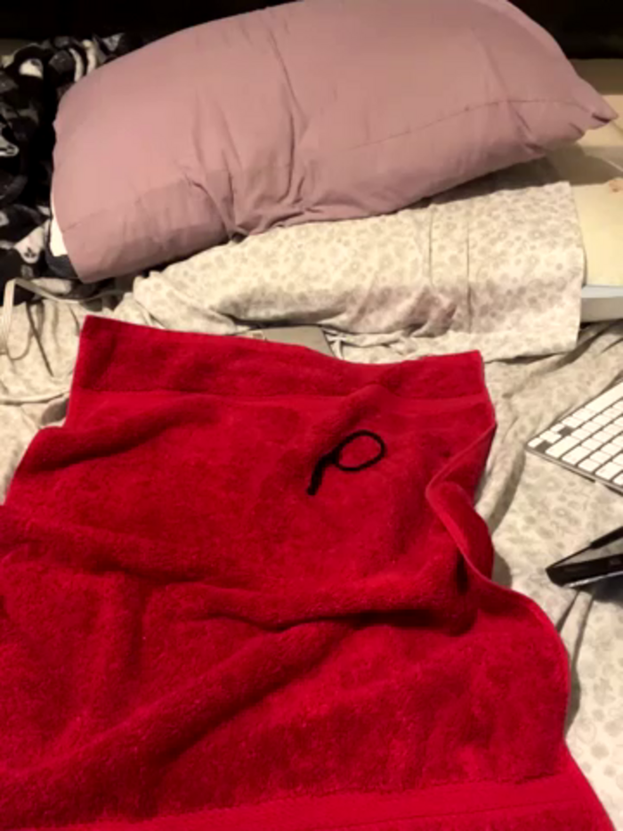Harley_cams
