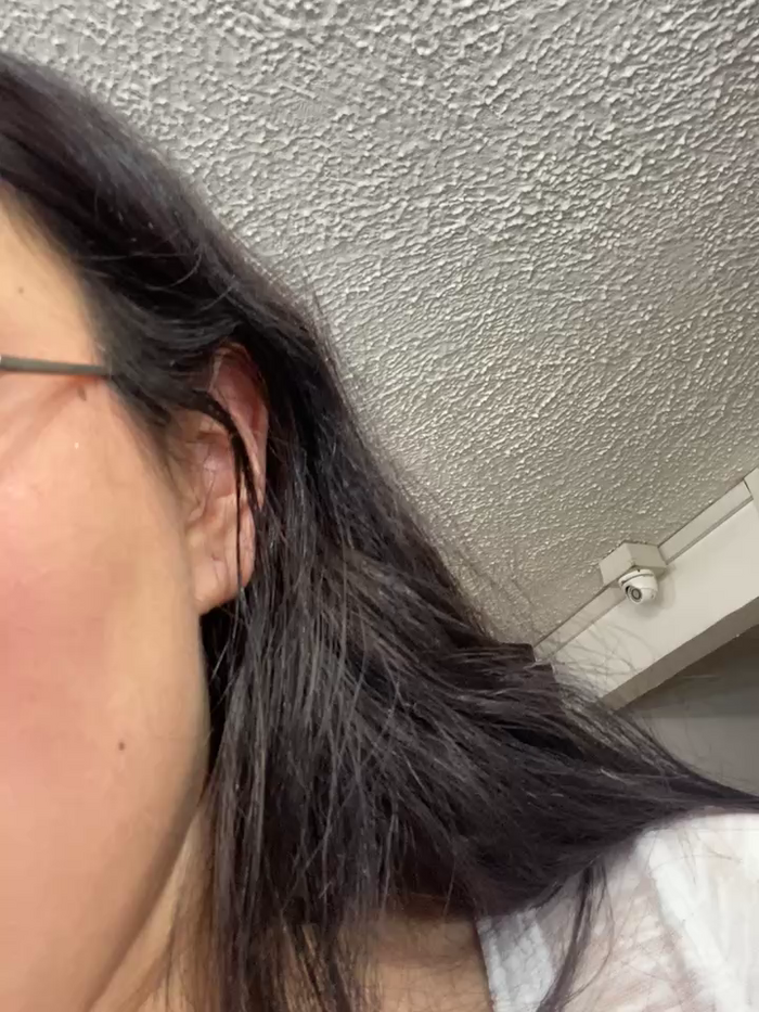SophiaHilt0n