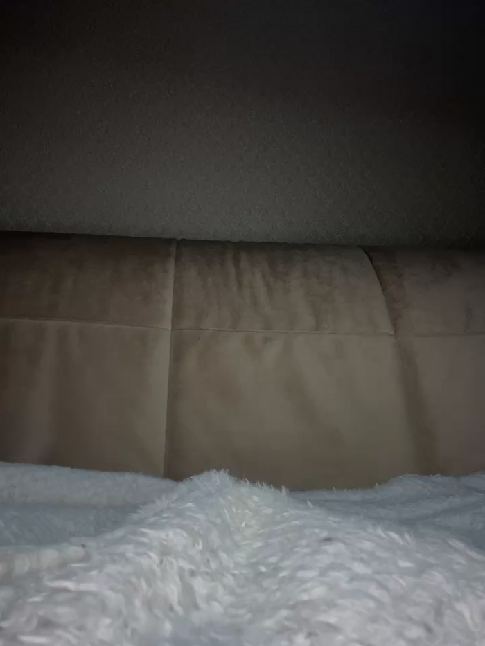 CatVibe
