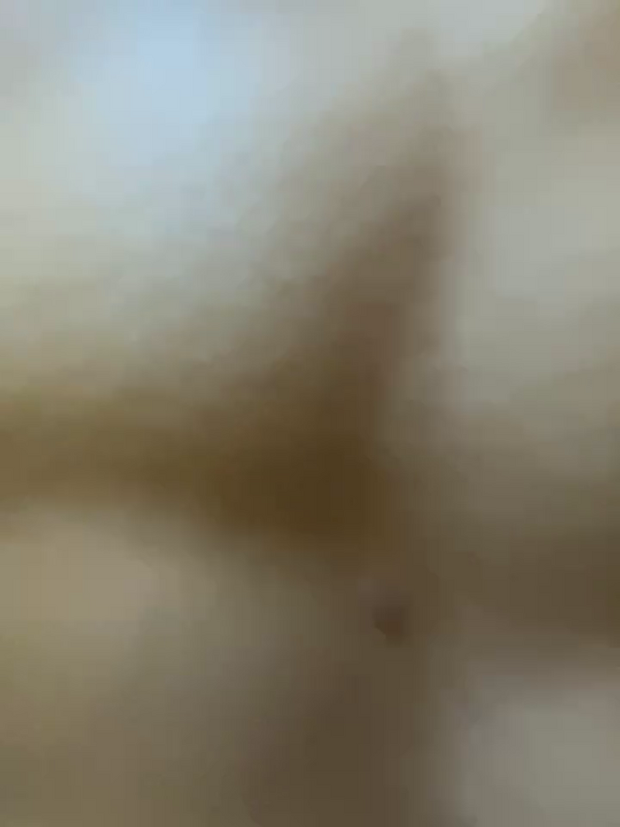macaxeira_