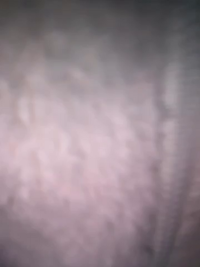 eli5566