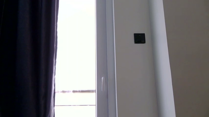 katt008